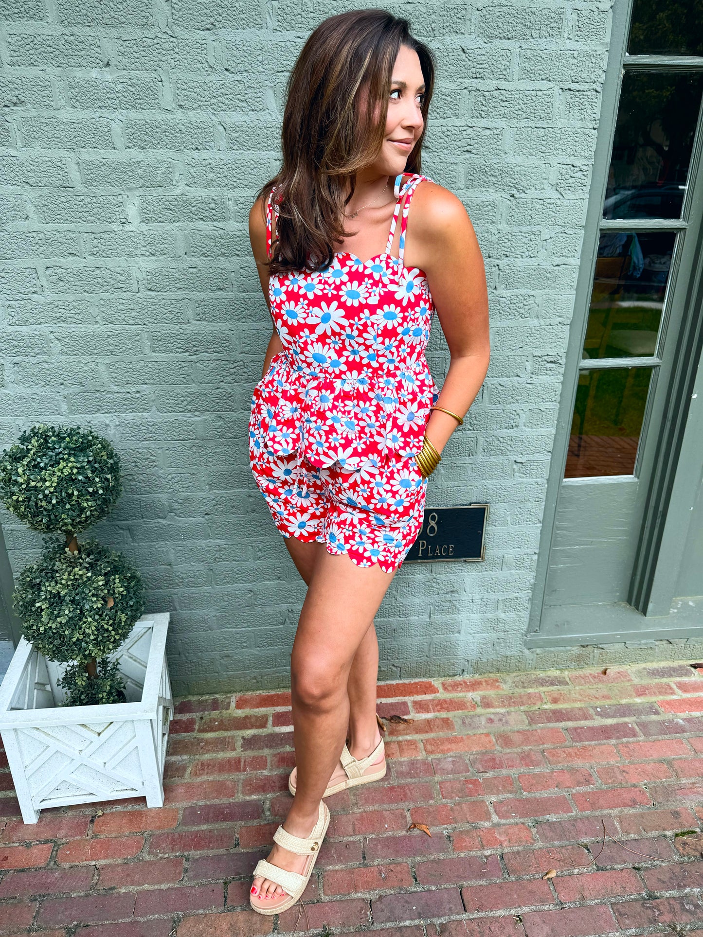 Red and Blue Daisy Set