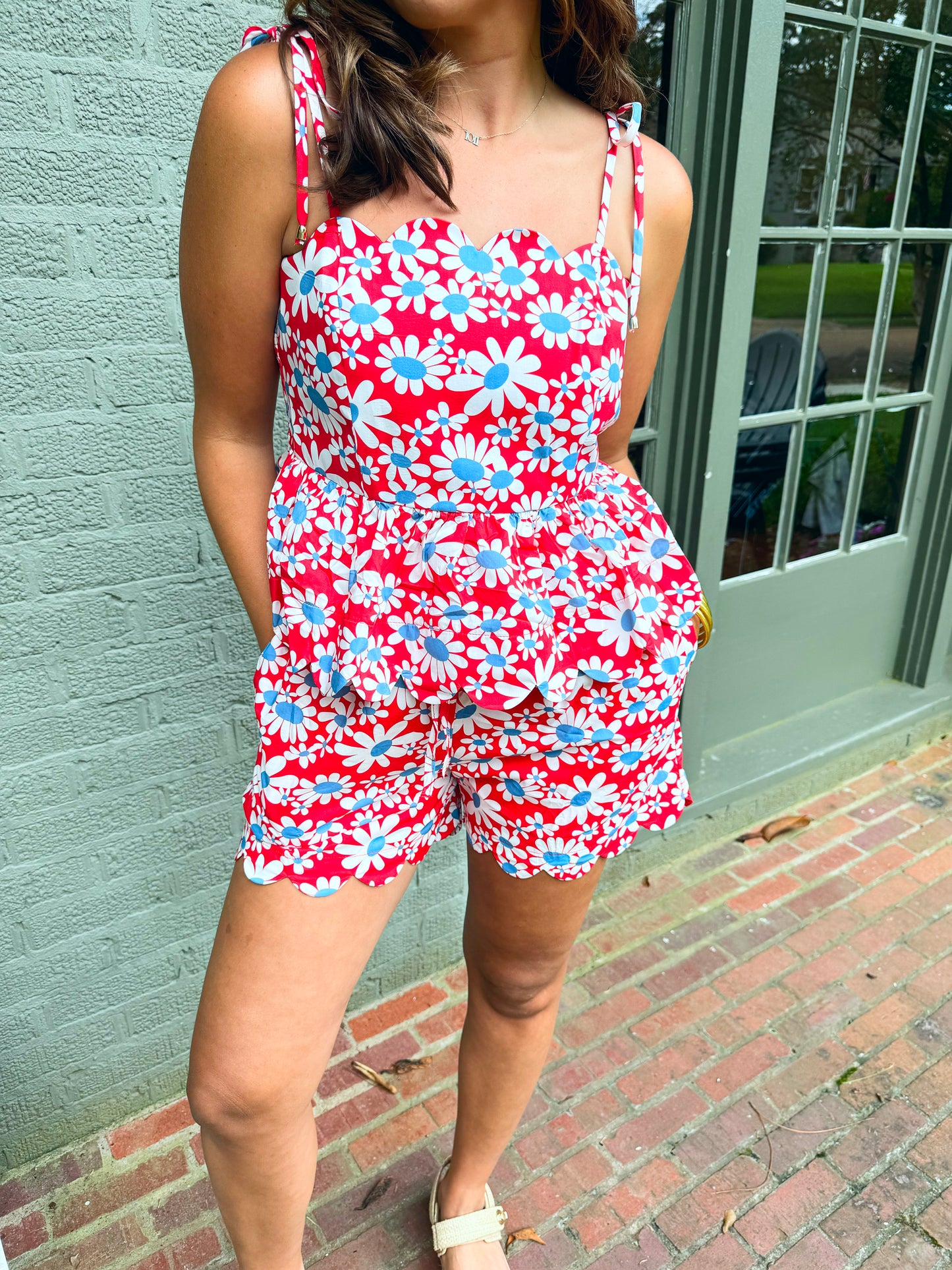 Red and Blue Daisy Set