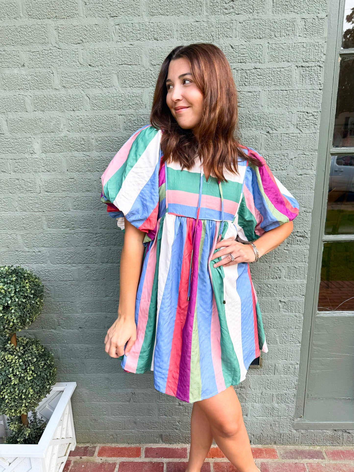 Denim Plum Striped Tie Neck Dress