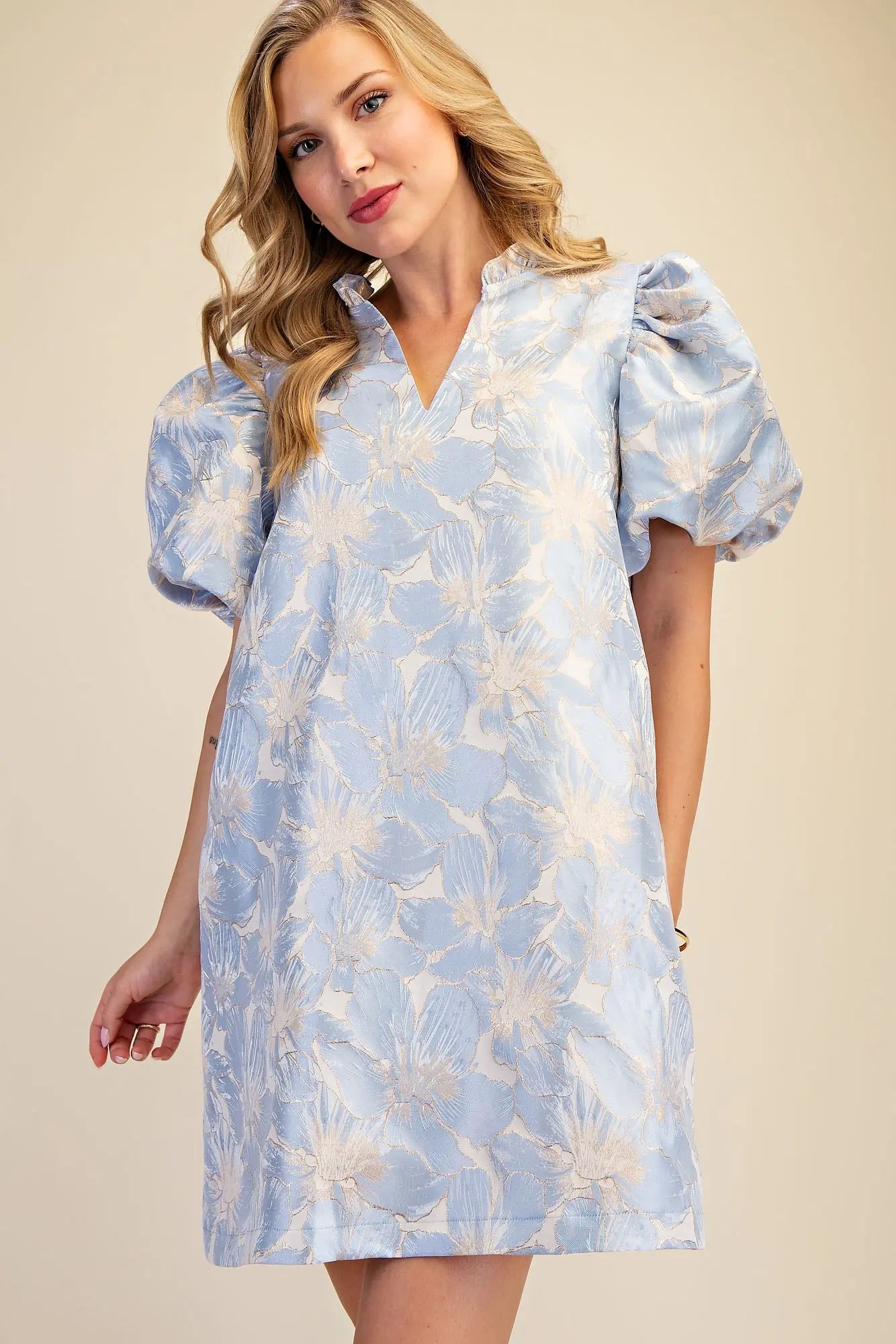 Sky Ruffle V-Neck Puff Sleeve Dress